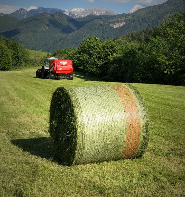 Чому варто вибрати mondiale 120